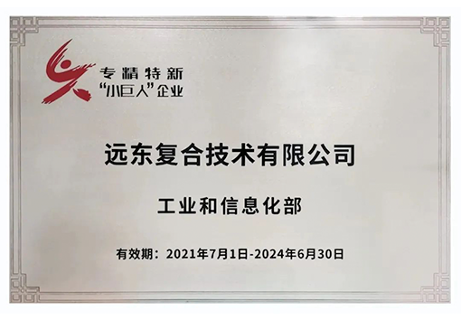 尊龙凯时复合技术专精特新小巨人企业