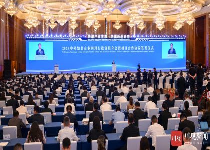 蒋锡培出席2025中外知名企业四川行，并受到四川省副省长陈书平亲切会见